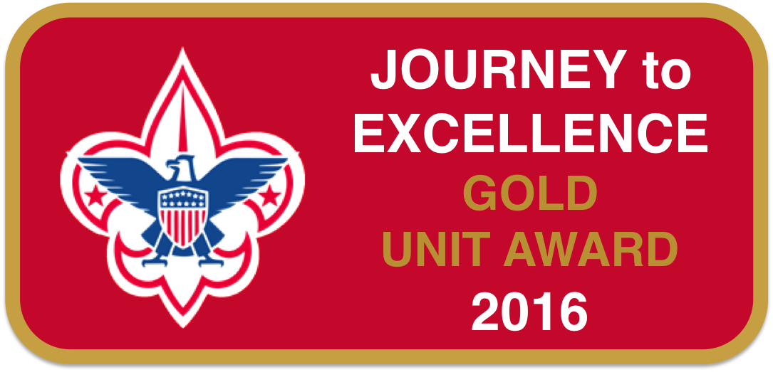 journey to excellence gold award patch placement